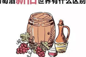 葡萄酒，新世界好還是舊世界好？