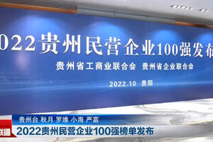 2022年貴州民營企業100強榜單出爐，小糊涂仙上榜