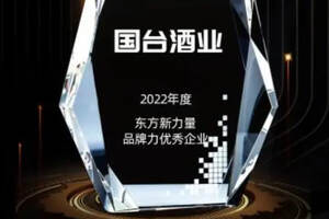 國臺榮獲中國財經風云榜“東方新力量2022年度品牌力優秀企業”