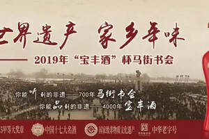 【世界遺產，家鄉年味】2019年寶豐酒杯馬街書會即將盛大開幕