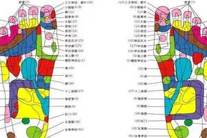 原理｜藻鏈·步多健功能鞋原理解析