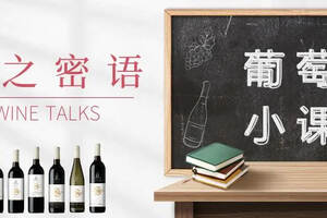 WINETALKS酒之密語|2.葡萄酒類繽紛多彩，哪款才是你的最愛