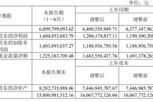 山西汾酒：高質量成長戰略功效釋放，上半年多項指標創新高