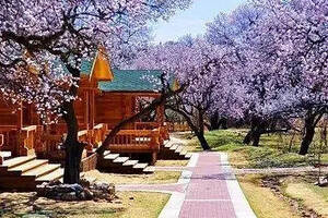 《汾酒博物館游記》博物館小院