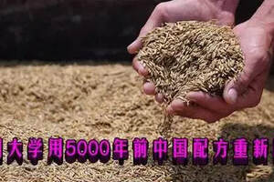 南華早報：美國大學用5000年前中國配方重新釀酒