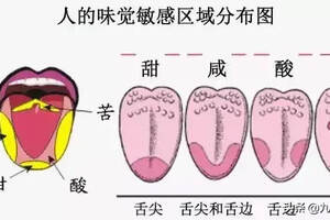 醬香酒的酸、甜、苦、辣、咸、澀