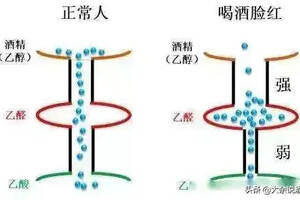 喝酒臉紅的人和喝酒臉白的哪個好一點？