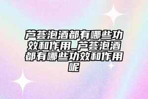 蘆薈泡酒都有哪些功效和作用_蘆薈泡酒都有哪些功效和作用呢