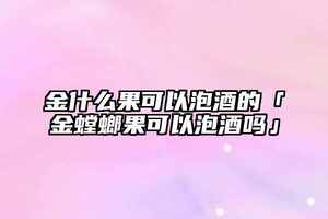 金什么果可以泡酒的「金螳螂果可以泡酒嗎」