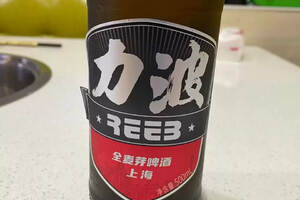 力波啤酒怎么樣（品嘗分享力波啤酒）