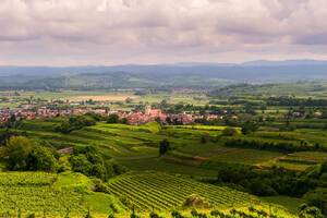 格拉文Savigny-les-BeauneAuxGravains