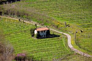 普伊-凡澤勒Pouilly-Vinzelles