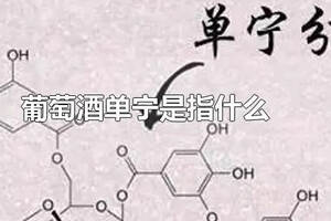 為什么葡萄酒有酸澀的感覺？（為什么葡萄酒有酸澀的感覺）