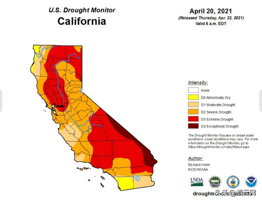 加州北部遭遇大旱，酒農卻說旱年出好酒