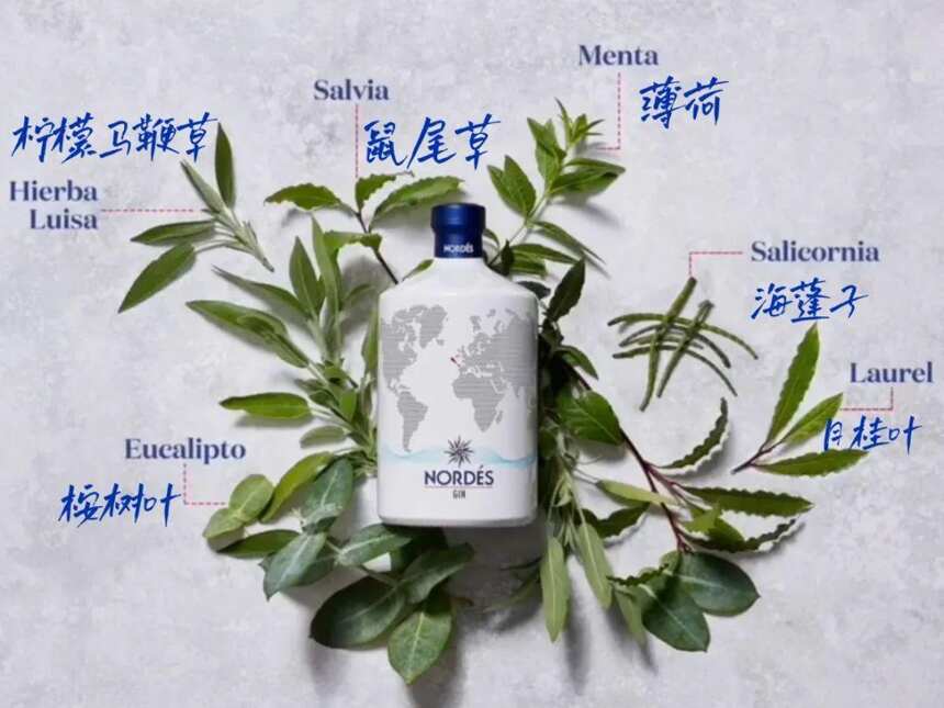 不可小覷的西班牙金酒