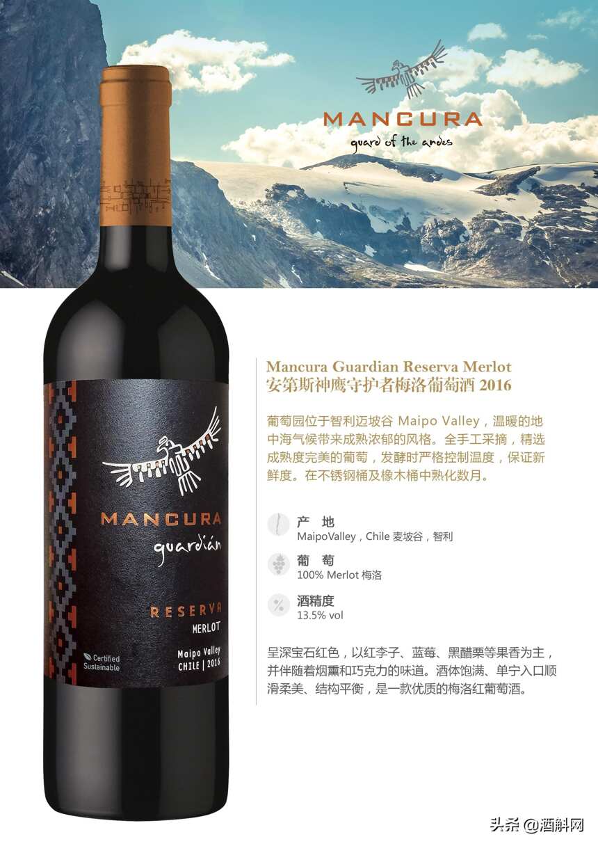 智利知名酒莊——安第斯神鷹（Mancura）