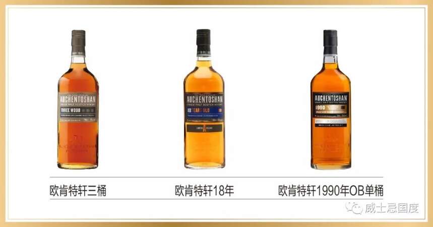 轉錦鯉？不如靠實力！歐肯特軒垂直品鑒酒評分享