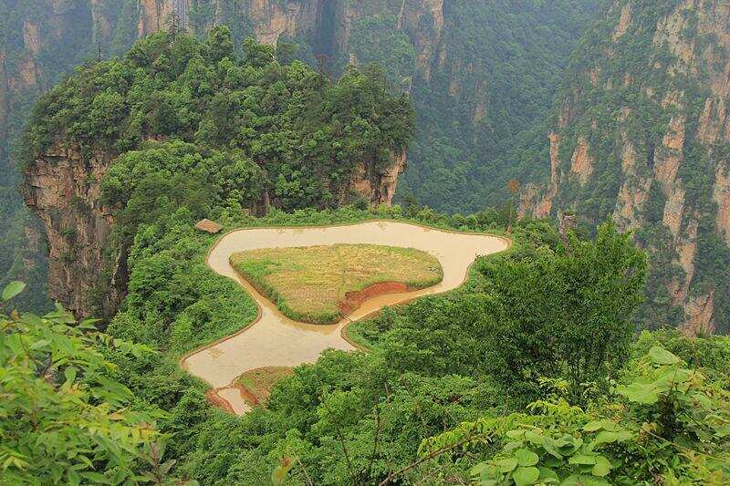 這就是傳說中的美景——空中田園（原創）