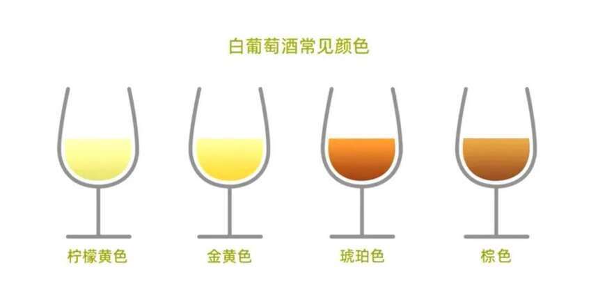 如何根據葡萄酒顏色的信息挑選心儀酒款？