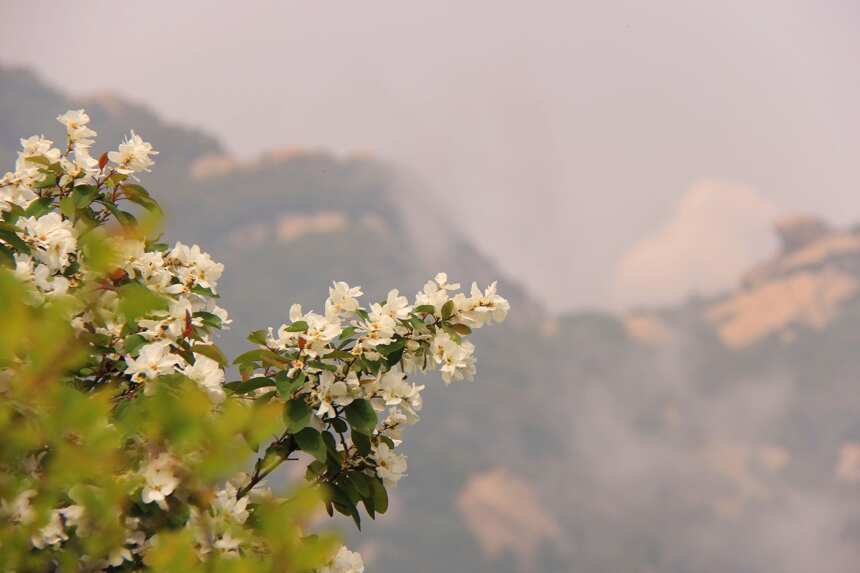 我眼中的西岳華山