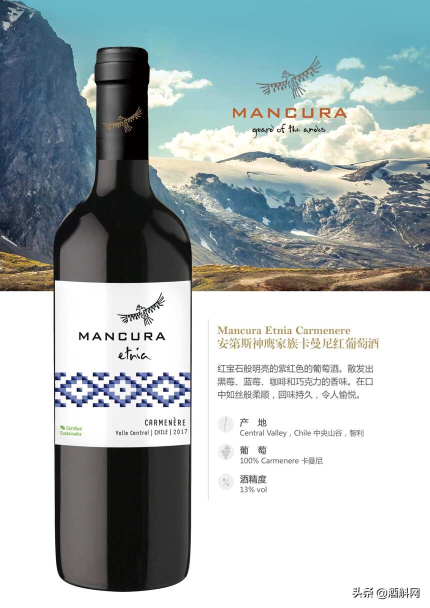 智利知名酒莊——安第斯神鷹（Mancura）