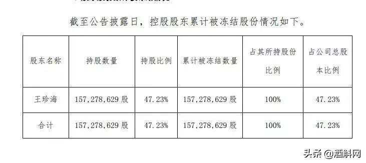 一邊請汪峰開演唱會，一邊董事長股權被凍結，威龍怎么了？