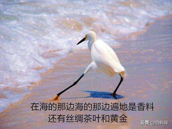 全歐海上亂斗的時代，葡萄酒卻C位出道