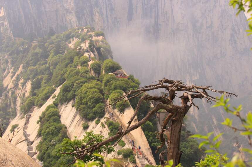 我眼中的西岳華山