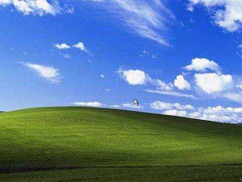 Windows XP 經典桌面壁紙，拍攝地竟是葡萄酒之鄉