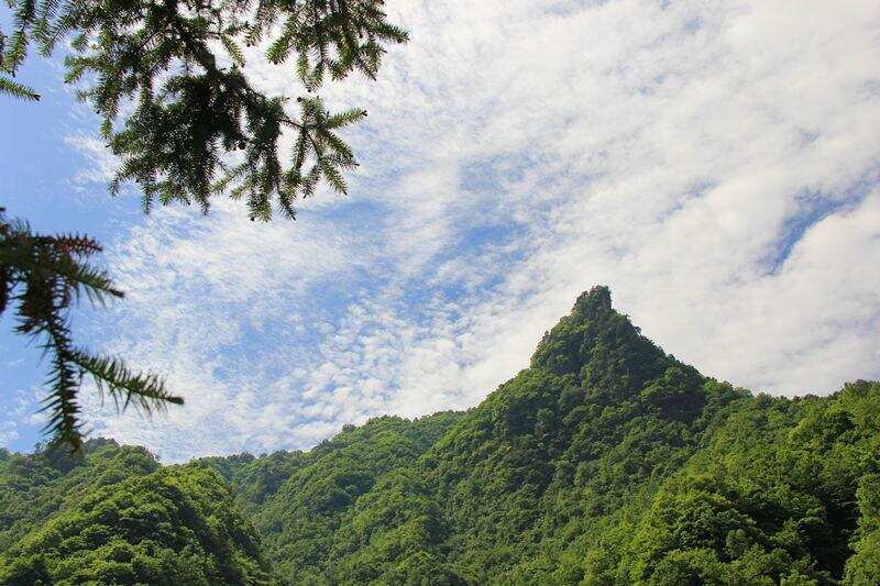 探秘神農架，一天游了四個5A級景區，拼了！