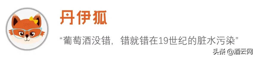 舌尖之毒：19世紀的葡萄酒“毒”死了貝多芬？| 酒·斛說