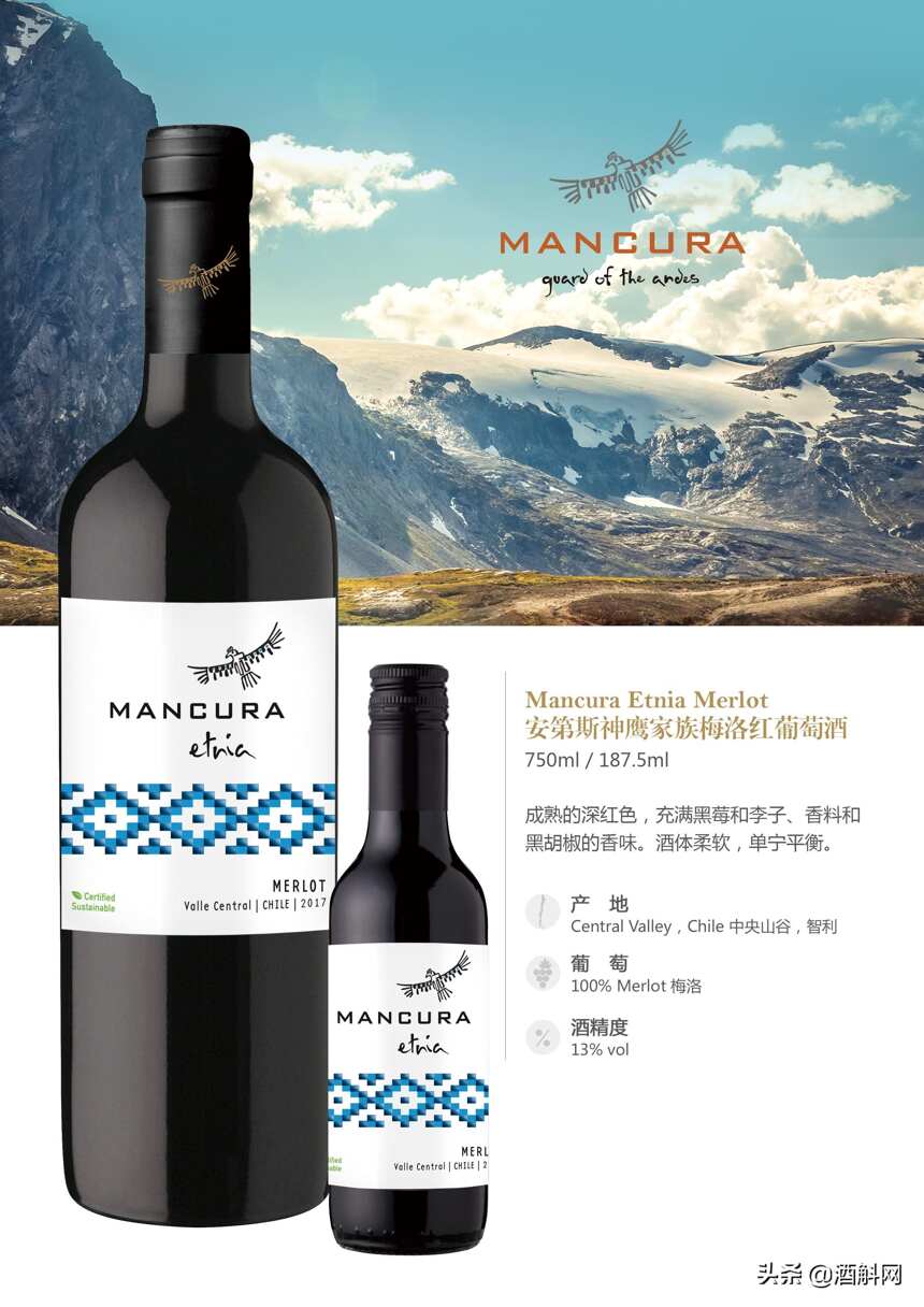 智利知名酒莊——安第斯神鷹（Mancura）