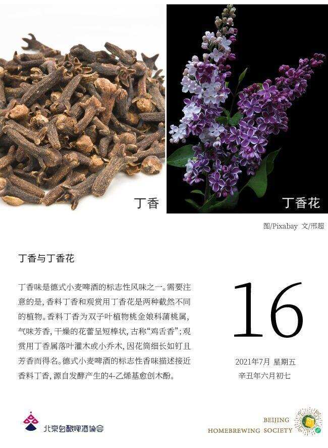 德式小麥白啤酒的香味為什么不一樣