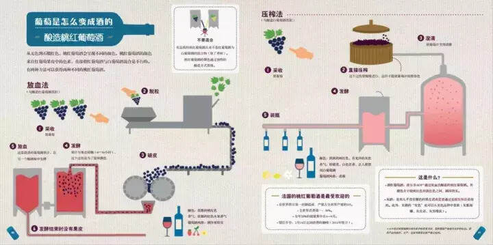 圖解｜葡萄酒到底是怎么釀造出來的？