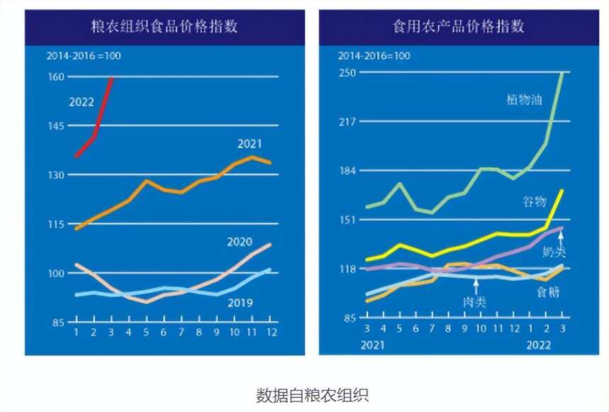 全球糧食危機拉響警報，白酒能度過“糧食關”嗎？