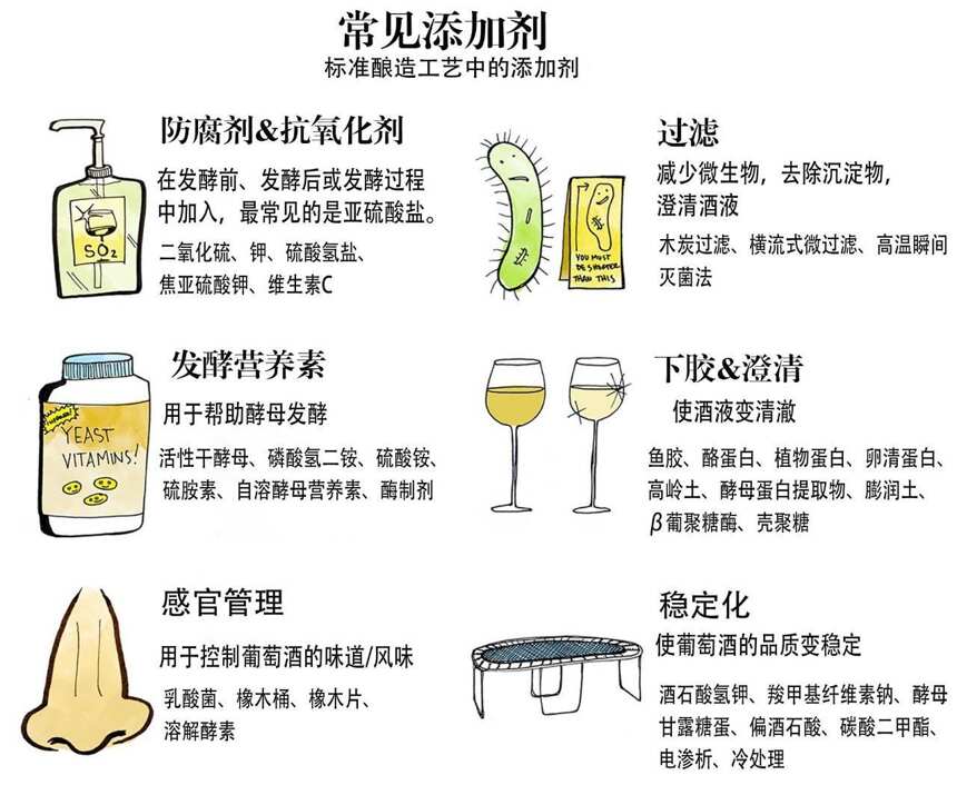 揭秘葡萄酒中常見的添加劑