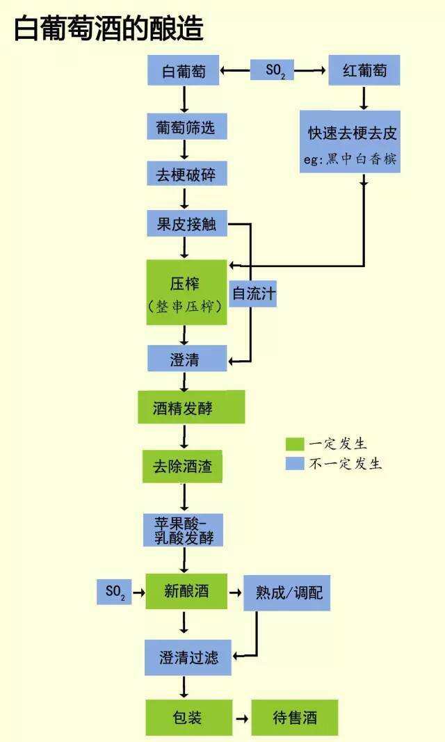 終于有人把紅、白葡萄酒的釀造說清楚了