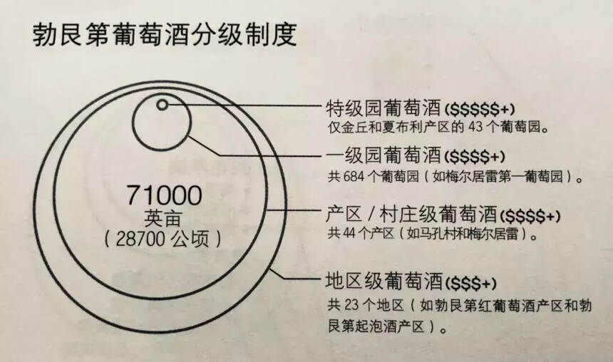 想要入門勃艮第，其實并沒有那么困難