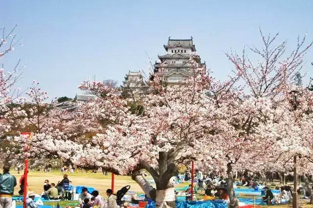 清酒：每個酒鬼都不應錯過的日本國酒