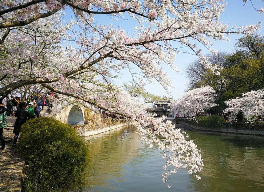 花事 | 又是一年花好處，故宮賞花佐酒攻略請簽收