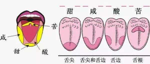 解惑丨好喝的葡萄酒是什么樣的？