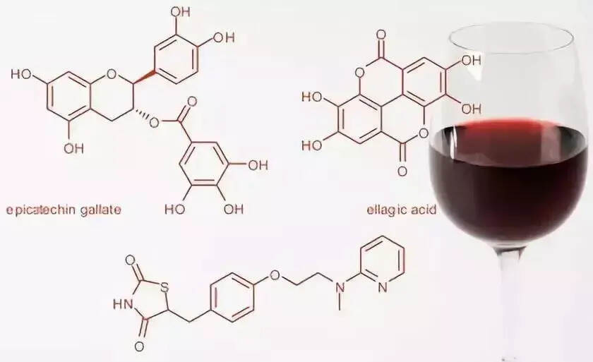 喝紅酒減肥，真的是你想象那樣嗎？