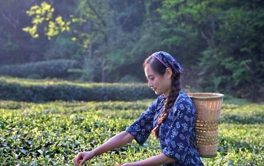 安徽人到底有多愛喝茶？出門帶保溫杯泡茶喝的，十有八九是安徽人