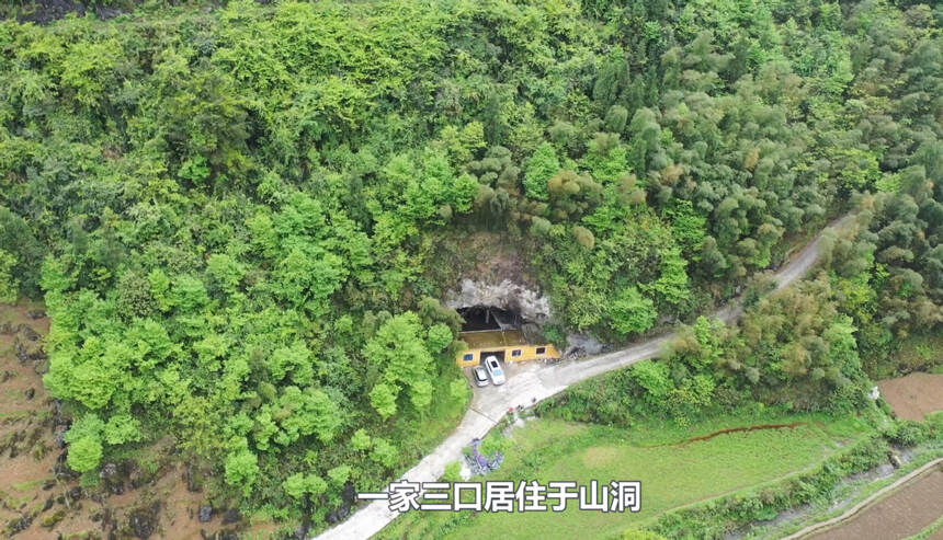 釀酒致富：貴州小伙山洞釀酒年入百萬，房縣黃酒帶全縣人發家致富