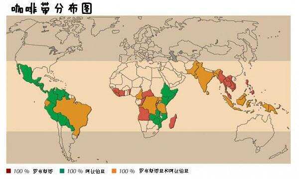 一杯好咖啡是怎樣煉成的？