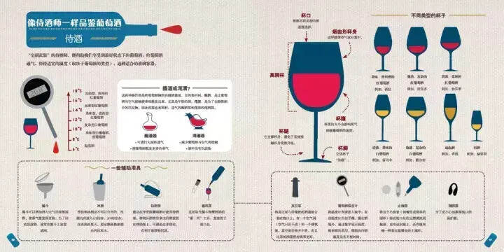 圖解｜葡萄酒到底是怎么釀造出來的？