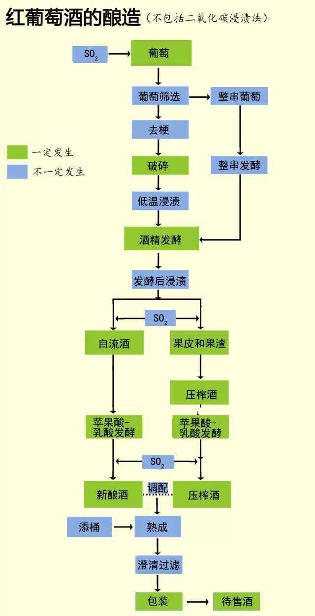 終于有人把紅、白葡萄酒的釀造說清楚了