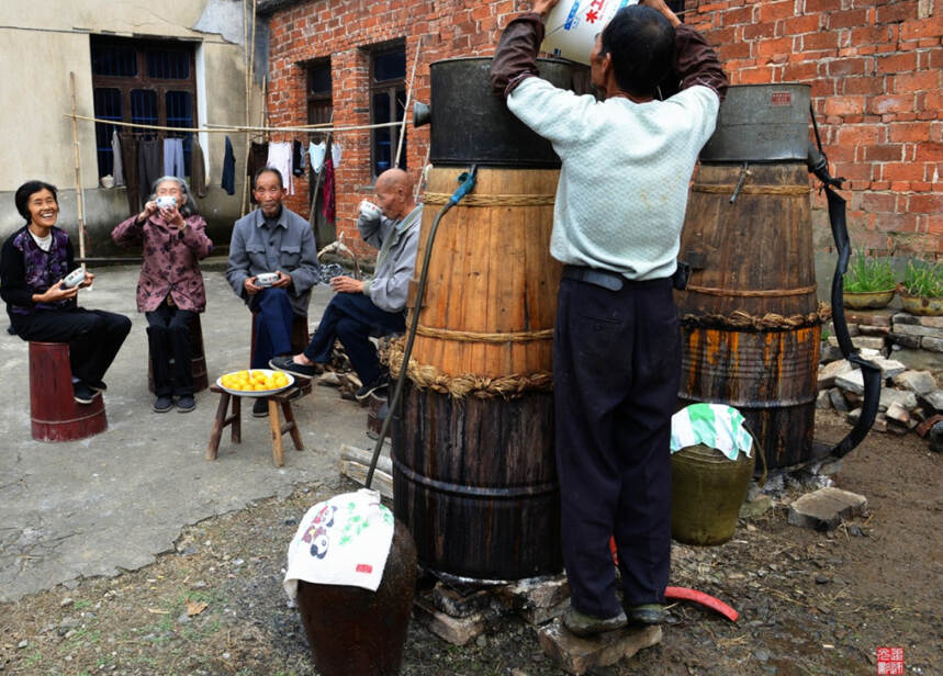 都是糧食酒，為何現在農村釀造的酒卻舉步維艱呢？原來是這樣