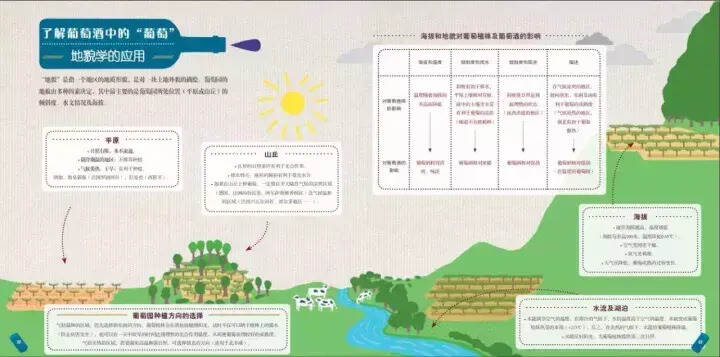 圖解｜葡萄酒到底是怎么釀造出來的？