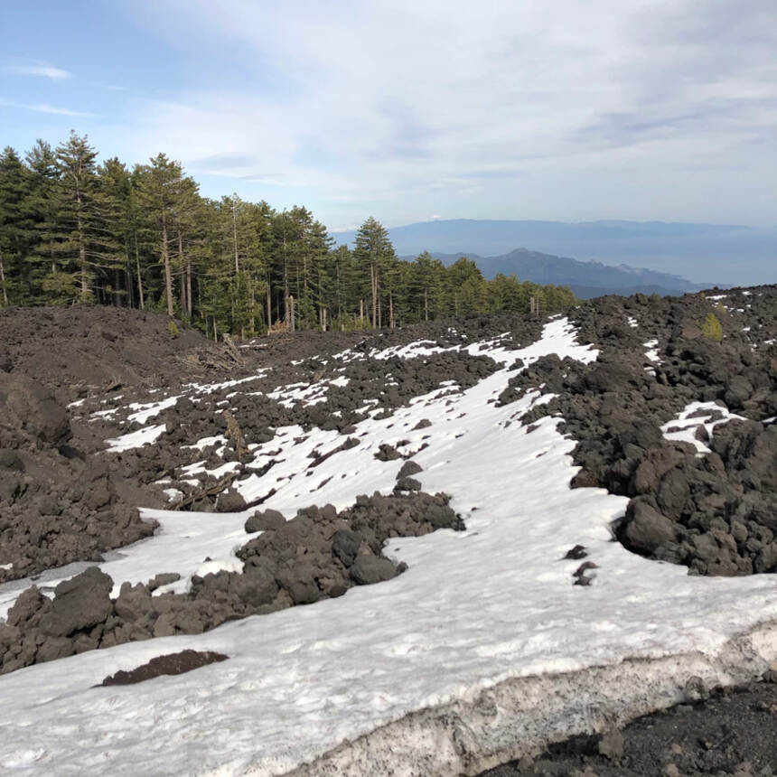 埃特納火山島嶼酒，地中海的“勃艮第”與“巴羅洛”